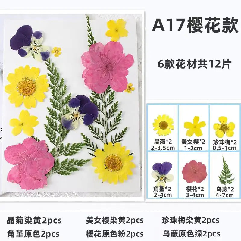 Kit para Hacer Marcapáginas de Flores Secas DIY
