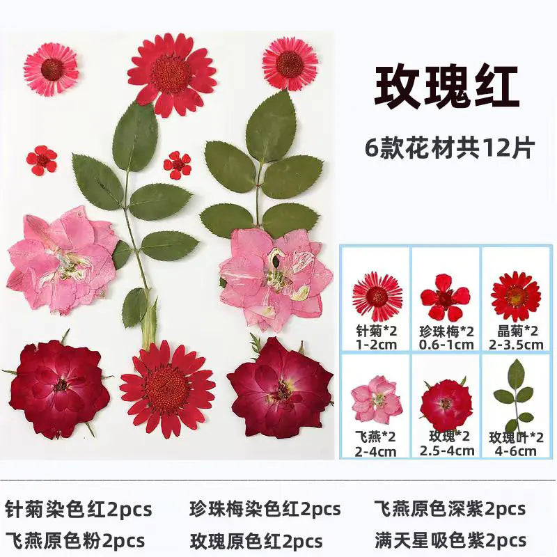 Kit para Hacer Marcapáginas de Flores Secas DIY
