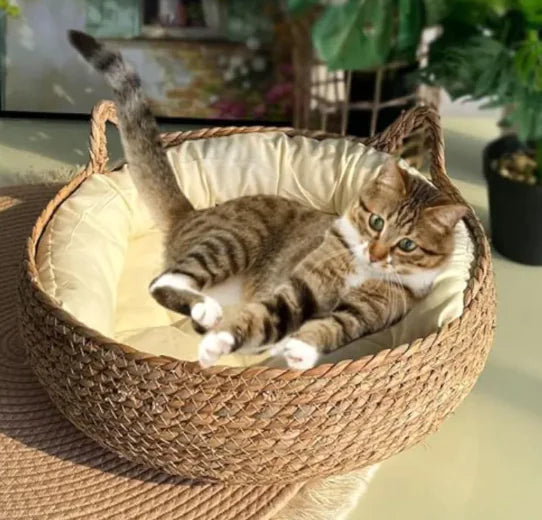 Casa Hecha a Mano para Mascotas