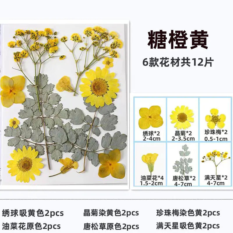 Kit para Hacer Marcapáginas de Flores Secas DIY